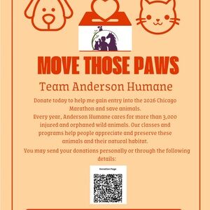 Orange Animal Charity Poster